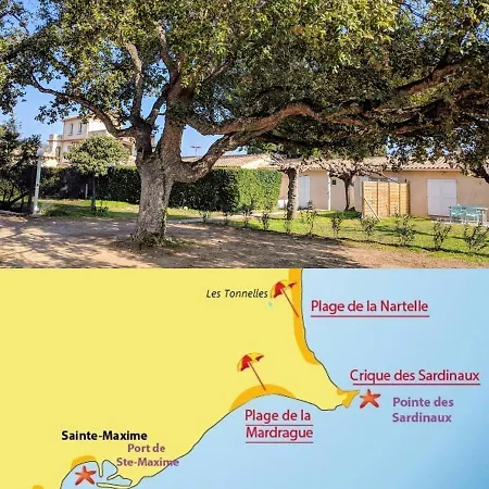 Nartelle Sainte-Maxime
